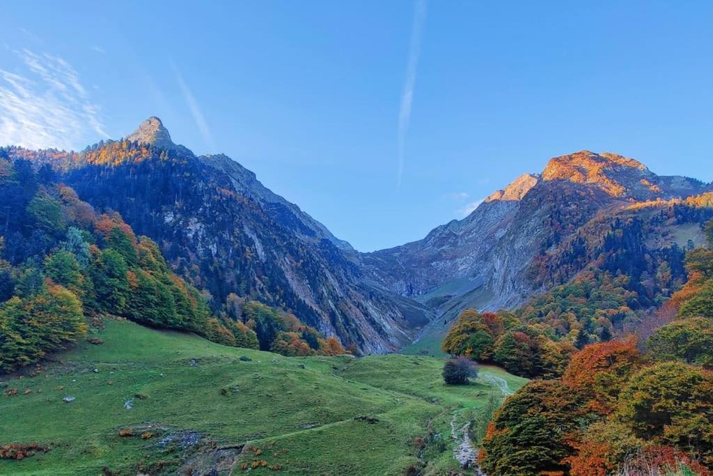 Logement 6 Pers Au Coeur Des Montagnes Pyreneennes Linge De Maison Et Papier Toilette Non Fournis Boutx المظهر الخارجي الصورة
