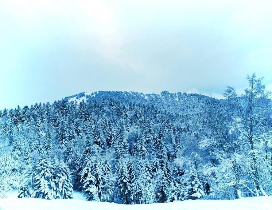 Logement 6 Pers Au Coeur Des Montagnes Pyreneennes Linge De Maison Et Papier Toilette Non Fournis Boutx المظهر الخارجي الصورة