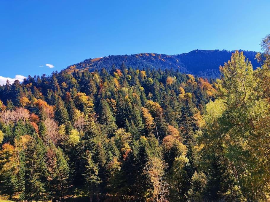 Logement 6 Pers Au Coeur Des Montagnes Pyreneennes Linge De Maison Et Papier Toilette Non Fournis Boutx المظهر الخارجي الصورة