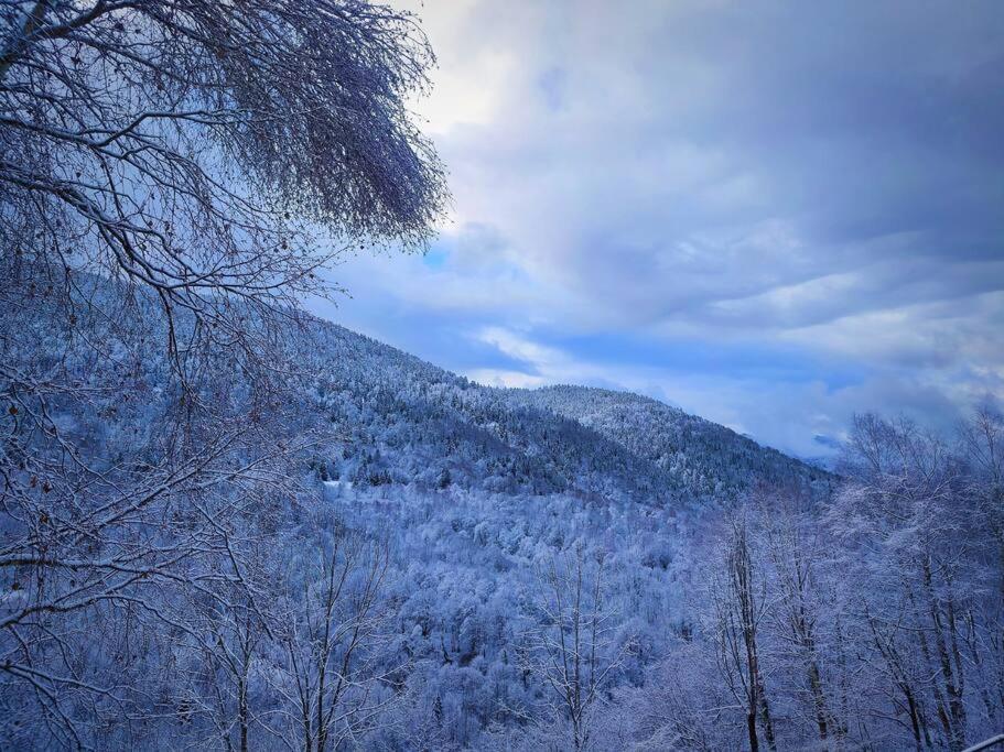 Logement 6 Pers Au Coeur Des Montagnes Pyreneennes Linge De Maison Et Papier Toilette Non Fournis Boutx المظهر الخارجي الصورة