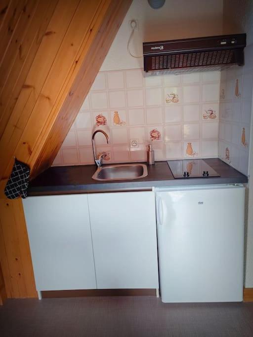 Logement 6 Pers Au Coeur Des Montagnes Pyreneennes Linge De Maison Et Papier Toilette Non Fournis Boutx المظهر الخارجي الصورة