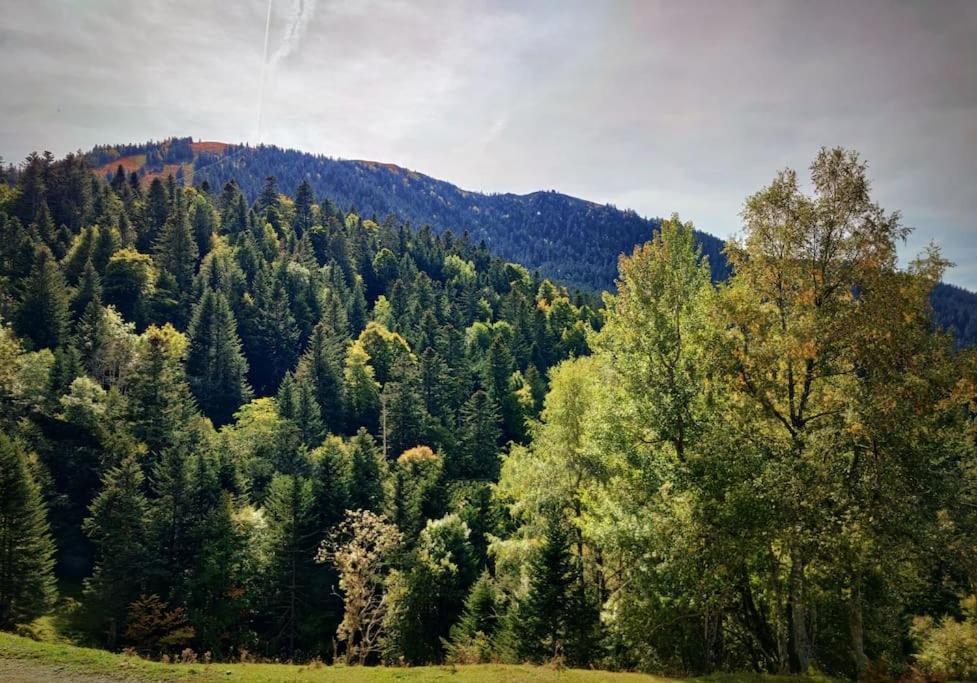 Logement 6 Pers Au Coeur Des Montagnes Pyreneennes Linge De Maison Et Papier Toilette Non Fournis Boutx المظهر الخارجي الصورة